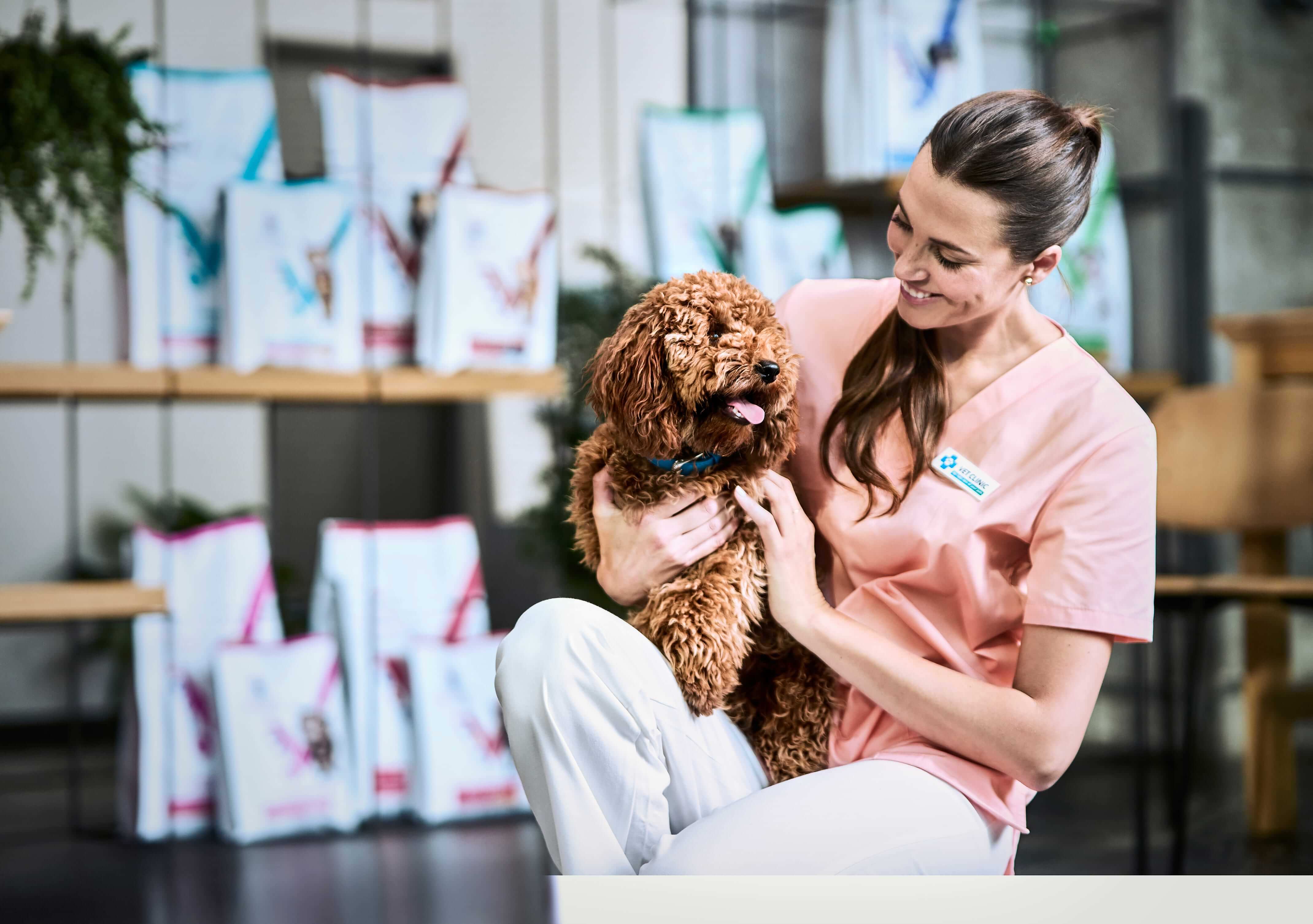 Kot sięgający po miskę z jedzeniem