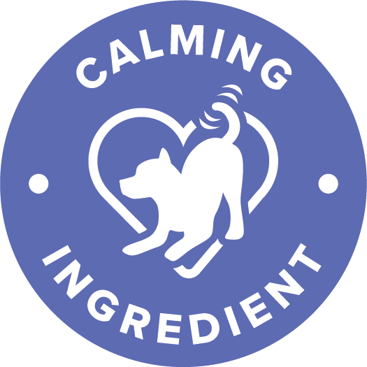 Ikona wsparcia kości i stawów