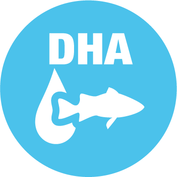 Ikona rozwoju mózgu i wzroku