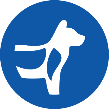 Ikona wsparcia kości i stawów