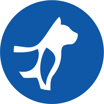 Ikona wsparcia kości i stawów